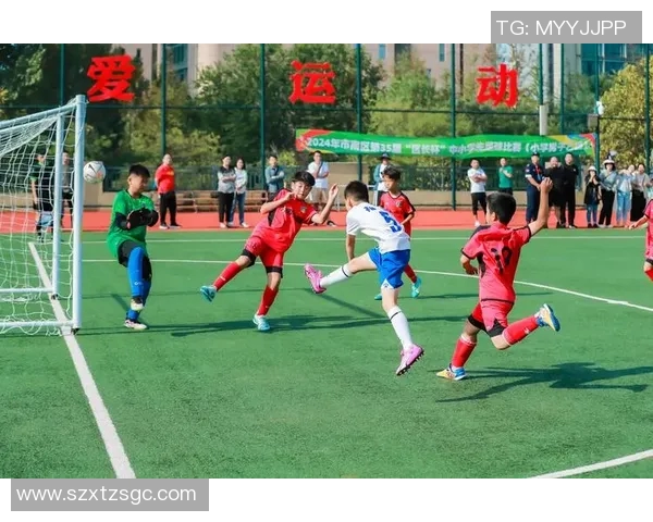 足球场上34号球星的精彩表现与成长历程全解析