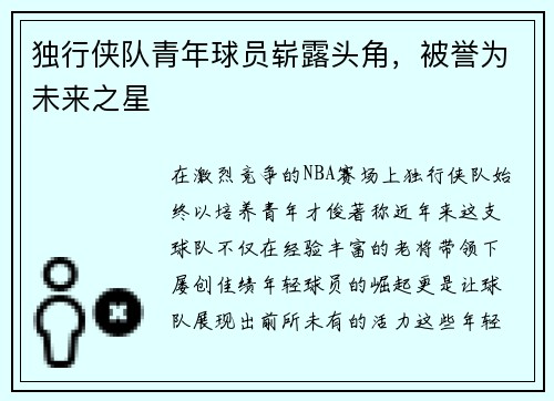 独行侠队青年球员崭露头角，被誉为未来之星